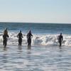 open water swims