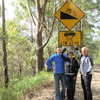 steep gradient mool